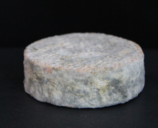 Illustration for article titled Ew, this human cheese was made with belly button and toe bacteria